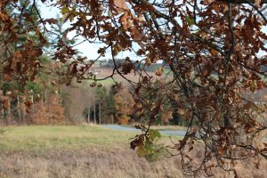 Frankenwald