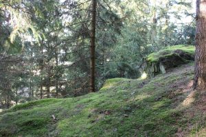 Frankenwald