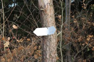 Wandern im Frankenwald