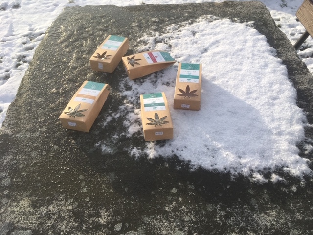 Hanfanbau zu Hause: CBD (Cannabidiol) Eigenanbau - NOCH keine gute Idee!
