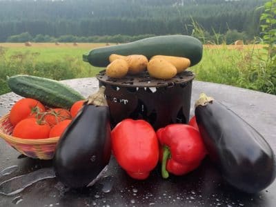 Obstanbau und Gemüseanbau als Selbstversorger wie früher