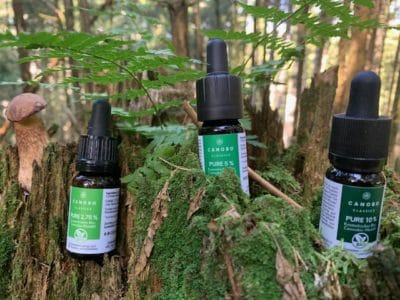 CBD Öl im US-Profisport: CBD zur Regeneration in der MLB (Baseball)