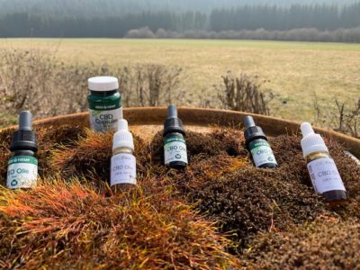 CBD Öl Tropfen: Ist die Wirkung von im Vergleich zu Kapseln besser?