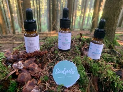 Soulpets - CBD mit der Basis Olivenöl für große und kleine Vierbeiner