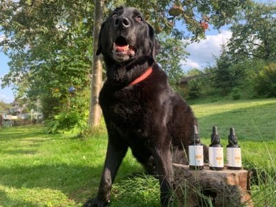 Fitono Dog CBD Öl in Konzentrationen von 3%, 5% und 10%