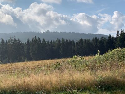 Wallenfels - das Zentrum der Region Oberes Rodachtal und Erholungsort