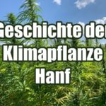 Die Geschichte der Klimapflanze Hanf und Hanfinformationen