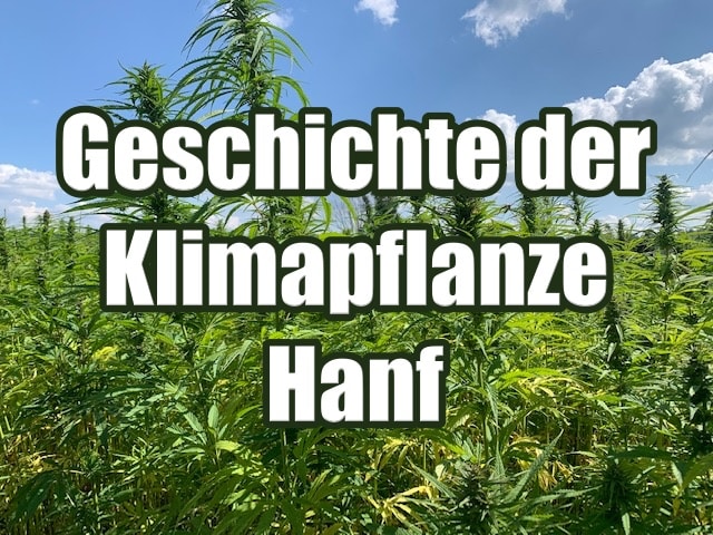 Die Geschichte der Klimapflanze Hanf und Hanfinformationen