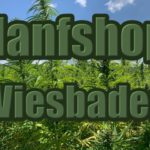 Hanfshop Wiesbaden: Eröffne den Hanf Webshop in Wiesbaden