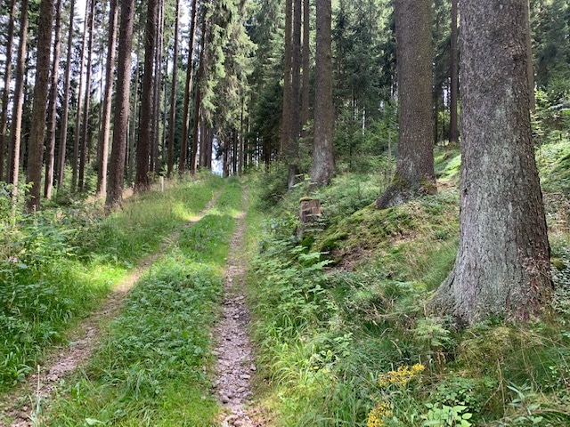 Culmitztal Weg DÖ 12