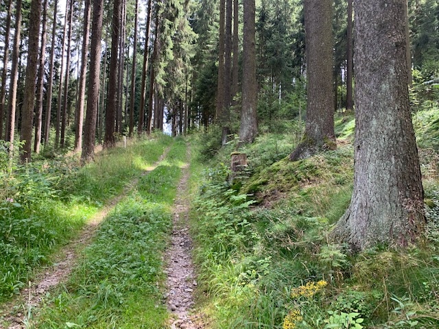 Culmitztal Weg DÖ 12 