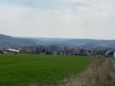 Spiegelwald-Weg US 41