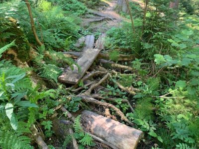 Wildenberg Weg OS 31