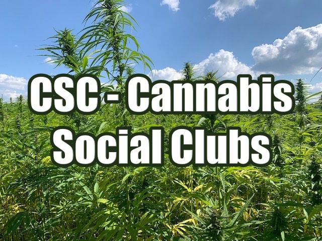 Cannabis Social Clubs (CSCs) - ein neuer Trend der Cannabisgemeinschaft?