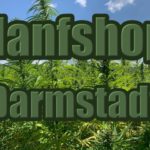 Hanfshop Darmstadt: Eröffne einen CBD Onlineshop in Darmstadt
