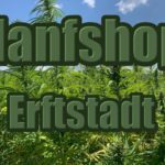 Hanfshop Erftstadt: Eröffne einen Hanf Online Shop in Erftstadt