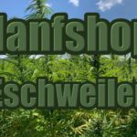 Hanfshop Eschweiler: Eröffne den Weed Online Shop in Eschweiler
