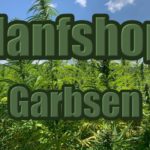 Hanfshop Garbsen: Eröffne einen routinierten Cannabis Shop in Garbsen
