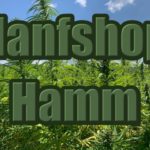Hanfshop Hamm: Eröffne unseren Weed Laden in Hamm