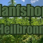 Hanfshop Heilbronn: Eröffne einen guten Weed Onlineshop in Heilbronn