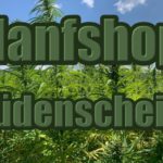 Hanfshop Lüdenscheid: Eröffne einen guten Weed Online Shop in Lüdenscheid