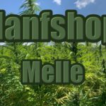 Hanfshop Melle: Eröffne unseren Weed Webshop in Melle