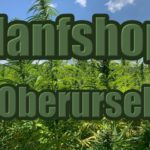 Hanfshop Oberursel: Eröffne einen Hanf Online Shop in Oberursel