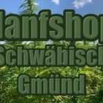 Hanfshop Schwäbisch Gmünd: Eröffne unseren Hanf Onlineshop in Schwäbisch Gmünd