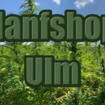 Hanfshop Ulm: Eröffne einen guten Cannabis Internetshop in Ulm