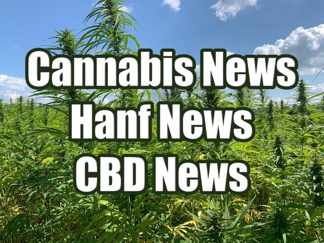 Positive Ergebnisse des medizinischen Cannabisprogramms