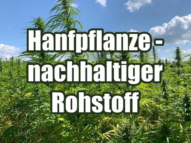 Hanf - uralte Pflanze als nachhaltiger Rohstoff der Zukunft