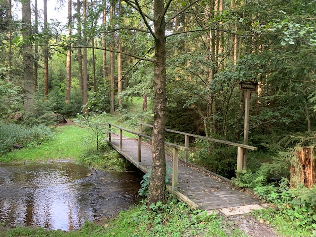 Froschbrücke über den Froschbach