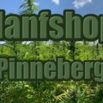 Hanfshop Pinneberg: Eröffne einen routinierten Weed Laden in Pinneberg