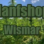 Hanfshop Wismar: Eröffne einen routinierten Cannabis Internetshop in Wismar