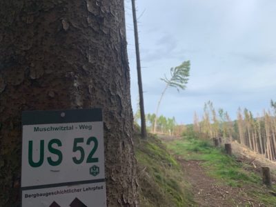 Muschwitztal-Weg US 52
