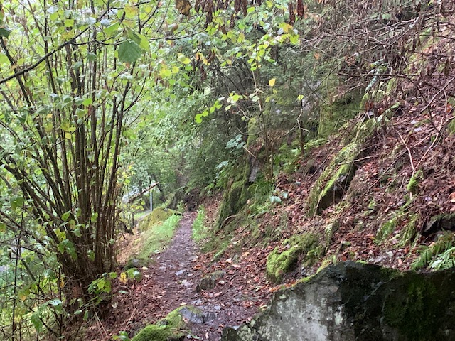 Röhrensteig - Naturbelassene Pfade