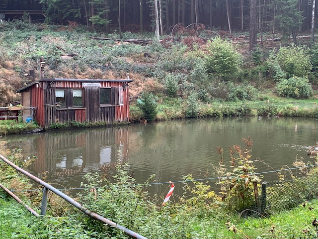 Teich bei der Krötenmühle