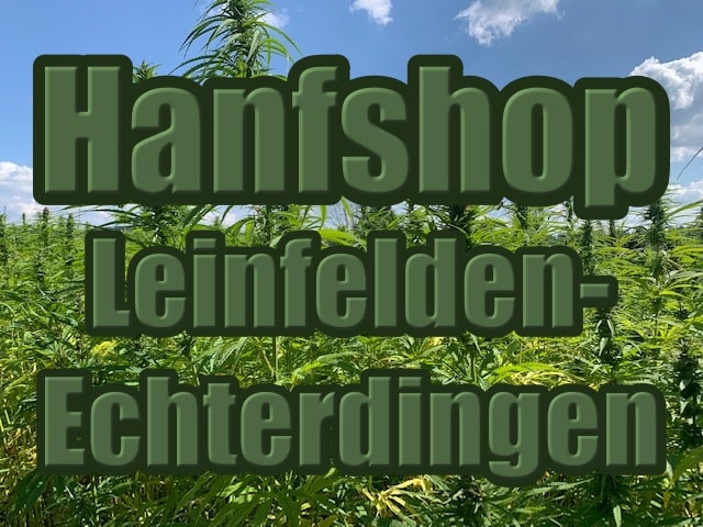 Hanfshop Leinfelden-Echterdingen: Eröffne einen routinierten CBD Geschäft in Leinfelden-Echterdingen