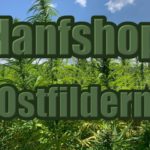 Hanfshop Ostfildern: Eröffne den Weed Onlineshop in Ostfildern