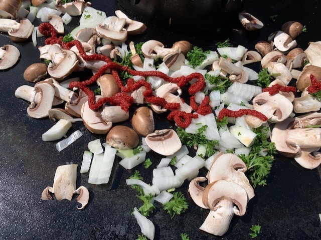 Veganes Grillen auf der Feuerplatte