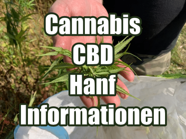 Die Faszination der Cannabinoid-Rezeptoren CB1 und CB2