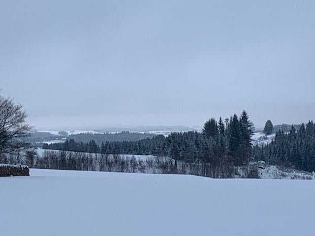 Schneeschuh-Wanderung im winterlichen Frankenwald
