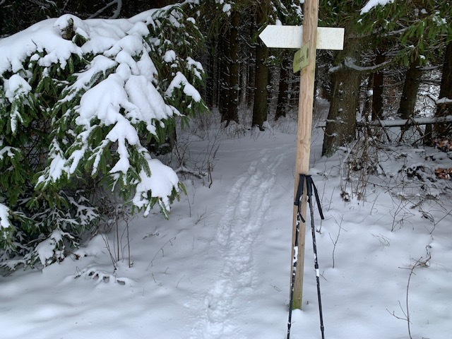 Schneeschuh-Wanderung im winterlichen Frankenwald