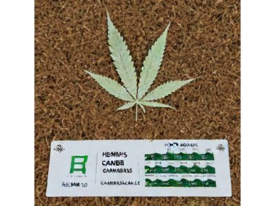 Nutzhanf Grenzwerte von 0,2% auf 0,3% THC erhöht