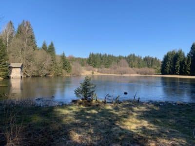FloßteichWeg DÖ 90 Entdecke den Schwarzen Teich