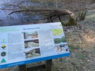 FloßteichWeg DÖ 90 Entdecke den Schwarzen Teich