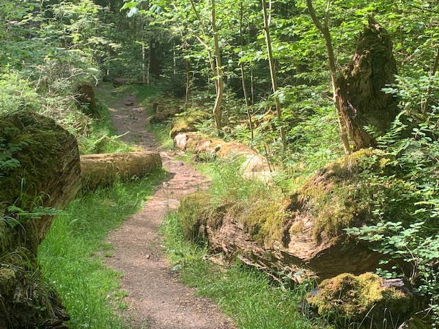 Rundweg König David US 21