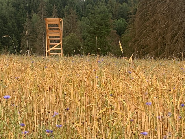 Hühnergrund-Weg DÖ 51