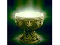 Holy Hemp: himmlisches Sortiment an Cannabissamen