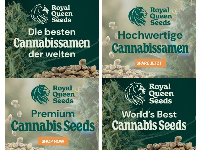 Royal Queen Seeds: Einblick in den Cannabis-Samen-Giganten